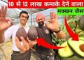 1200रू Kg बिकने वाले एवोकाडो से कमाये लाखों इजराइल तकनीक से🥑Israel Technique Avocado Fruit Farming