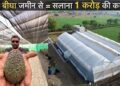 मक्खन फल ने बनाया 26 साल का लड़का करोड़पति // एवोकाडो खेती Israel butter fruit nursery India Avocado